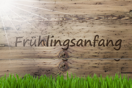 Sunny Wooden Background, Gras, Fruehlingsanfang Means Beginning Of Springの写真素材