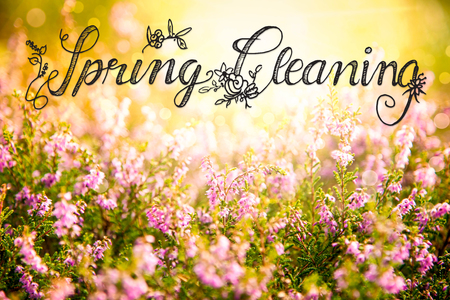 Sunny Erica Flower Field, Calligraphy Spring Cleaning