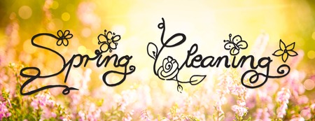 Sunny Erica Flower Field, Calligraphy Spring Cleaning