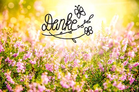 Erica Flower Field, Calligraphy Danke Means Thank You