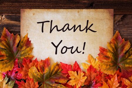Old Paper With Text Thank You, Colorful Leaves Decorationの写真素材