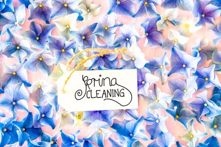 One Label With English Calligraphy Spring Cleaning. Hydrangea Flower Blossom On Wooden Backgroundの写真素材