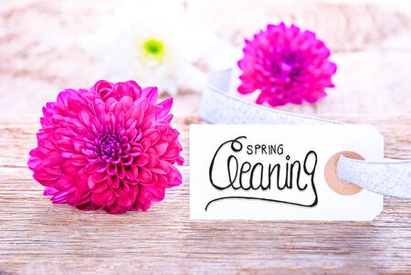 Label With Calligraphy Spring Cleaning, Purple Flower Blossomの写真素材