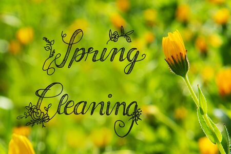 English Calligraphy Spring Cleaning. Beautiful Scene Of Yellow Spring Flower Meadow In Spring...
