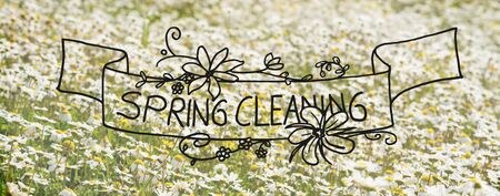 Sunny White Daisy Flower Meadow, Calligraphy And Illustration Spring Cleaning
