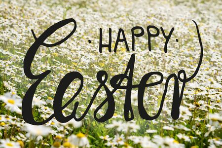 English Calligraphy Happy Easter. Beautiful Scenery Of Sunny, White Daisy Flower Meadow In Spring...