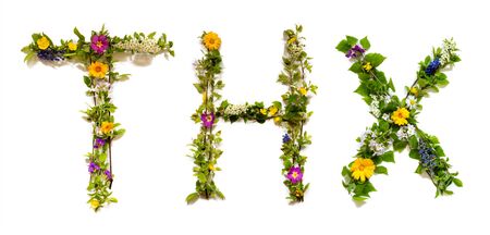 Flower And Blossom Letter Building Word THX Means Thank Youの写真素材