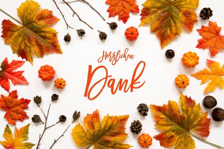 Beautiful Calligraphy Of German Text Herzlichen Dank Means Thank You. Frame Of Bright Colorful...