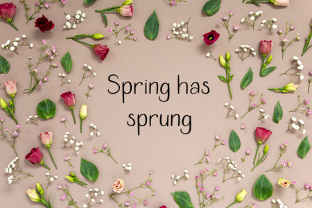 Colorful Spring Flower Arrangement With Roses, English Text Spring Has Sprung