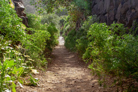big hiking way to the beach from tenerife