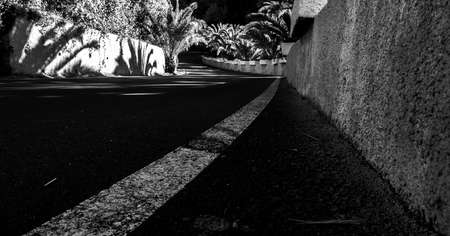 black and white perspective photo of a winding road