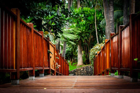 wooden bridge with palm trees at the horizonの写真素材