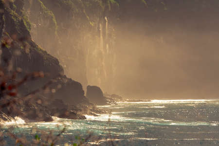 Wonderful place of the coast from Tenerifeの写真素材