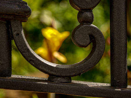 Creative detail of a wrought iron baroque fence with blossom in the background
