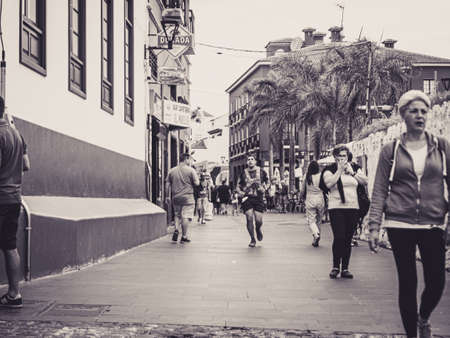 Bluerail Trail, Puerto de la Cruz, Tenerife
