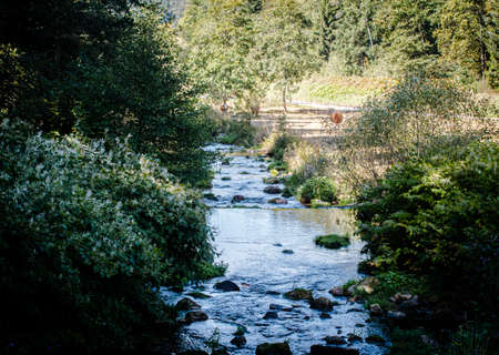 Next view over a beautiful river landscapeの写真素材