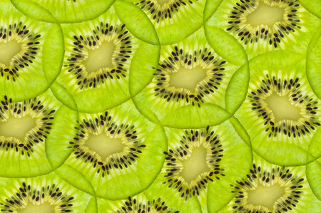 fresh juicy kiwi fruit. green backgroundの写真素材