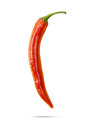 Hot chili peppersの写真素材