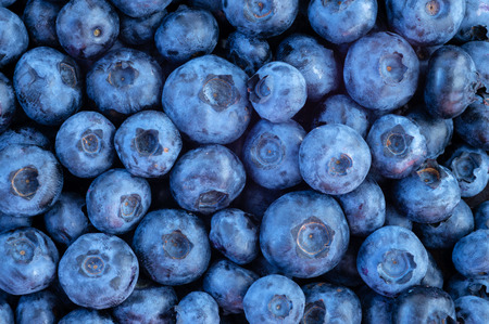 Freshly picked blueberries. nature backgroundの写真素材