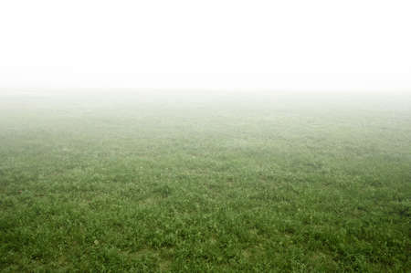 green grass field. foggy landscapeの写真素材