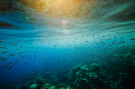 Abstract underwater deep blue backgroundsの写真素材