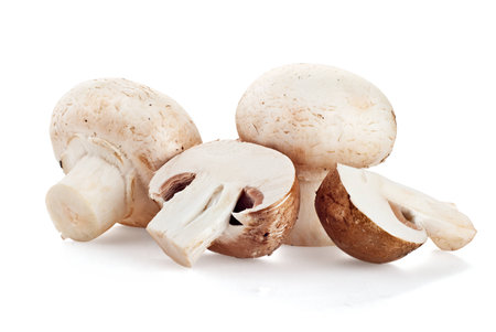 fresh mushroom champignon isolated on white backgroundの写真素材