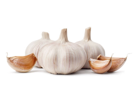 Garlic isolated on white backgroundの写真素材