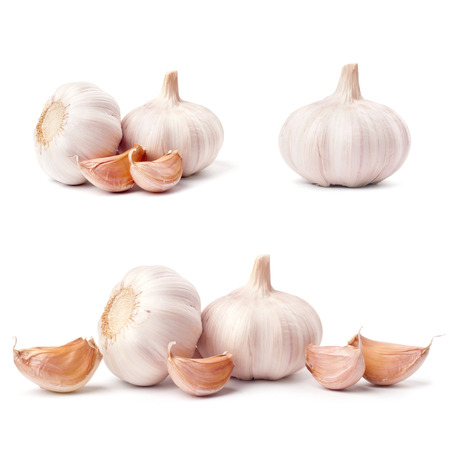 Garlic isolated on white backgroundの写真素材