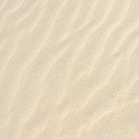 Sand texture. nature backgroundの写真素材