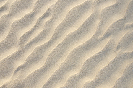 Sand texture. nature backgroundの写真素材