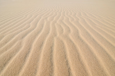 nature sand texture backgroundの写真素材