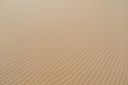 nature sand texture backgroundの写真素材