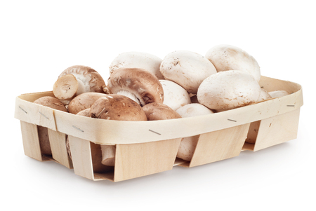 fresh mushroom champignons with twig dill isolated on white backgroundの写真素材