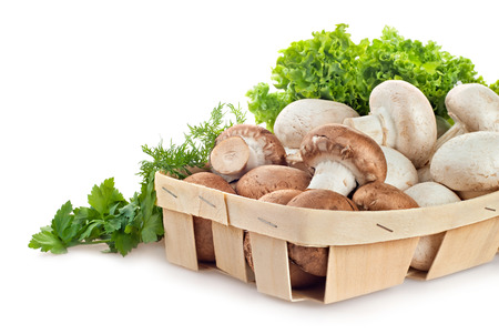 fresh mushroom champignons with twig dill isolated on white backgroundの写真素材