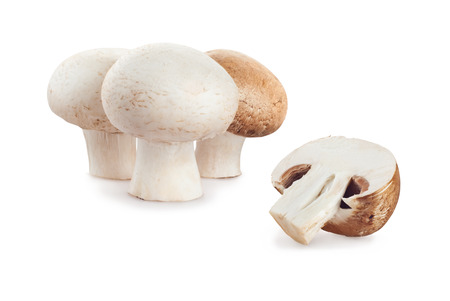 fresh mushroom champignon isolated on white backgroundの写真素材