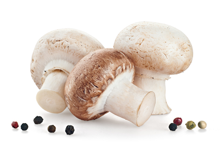 fresh mushroom champignon isolated on white backgroundの写真素材