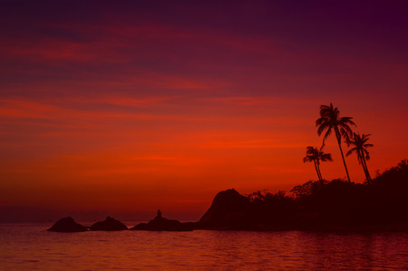 palm trees silhouette on sunset tropical beach backgroundの写真素材