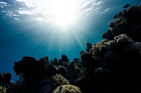 Abstract underwater background with sun raysの写真素材
