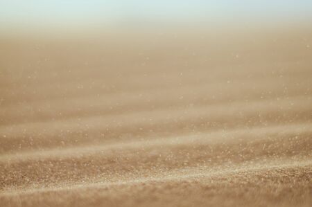 desert sand close up. blurred backgroundの写真素材