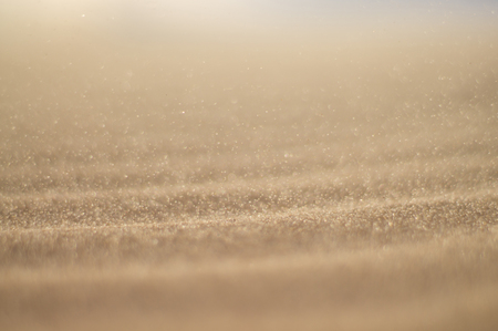 desert sand close up. blurred backgroundの写真素材