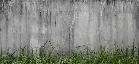old concrete wall pattern with grass, natural texture backgroundの写真素材
