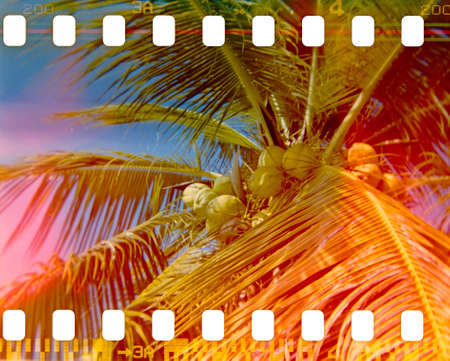 film strip texture with light leaks, abstract backgroundの写真素材