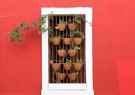 San Juan - Flowers in the windowの写真素材