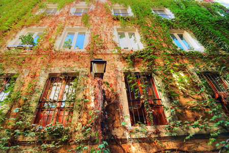 Rome streets in historic part of townの写真素材