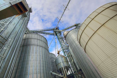 Agricultural Silos in Ontario, Canadaのeditorial素材
