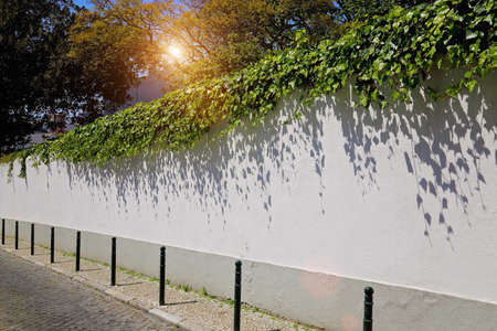 Street of Lisbon