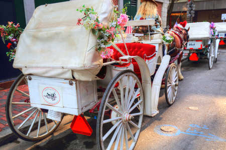 Chariot tours near Boston Harborのeditorial素材