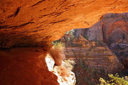 Scenic Zion Park Scenic Landscapesの写真素材
