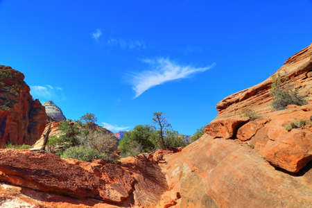 Scenic Zion Park Scenic Landscapesの写真素材
