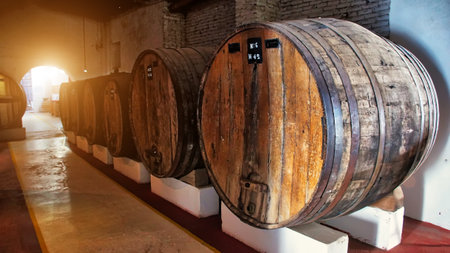 Famous El Cafayate wineries and wine tours in North Argentina